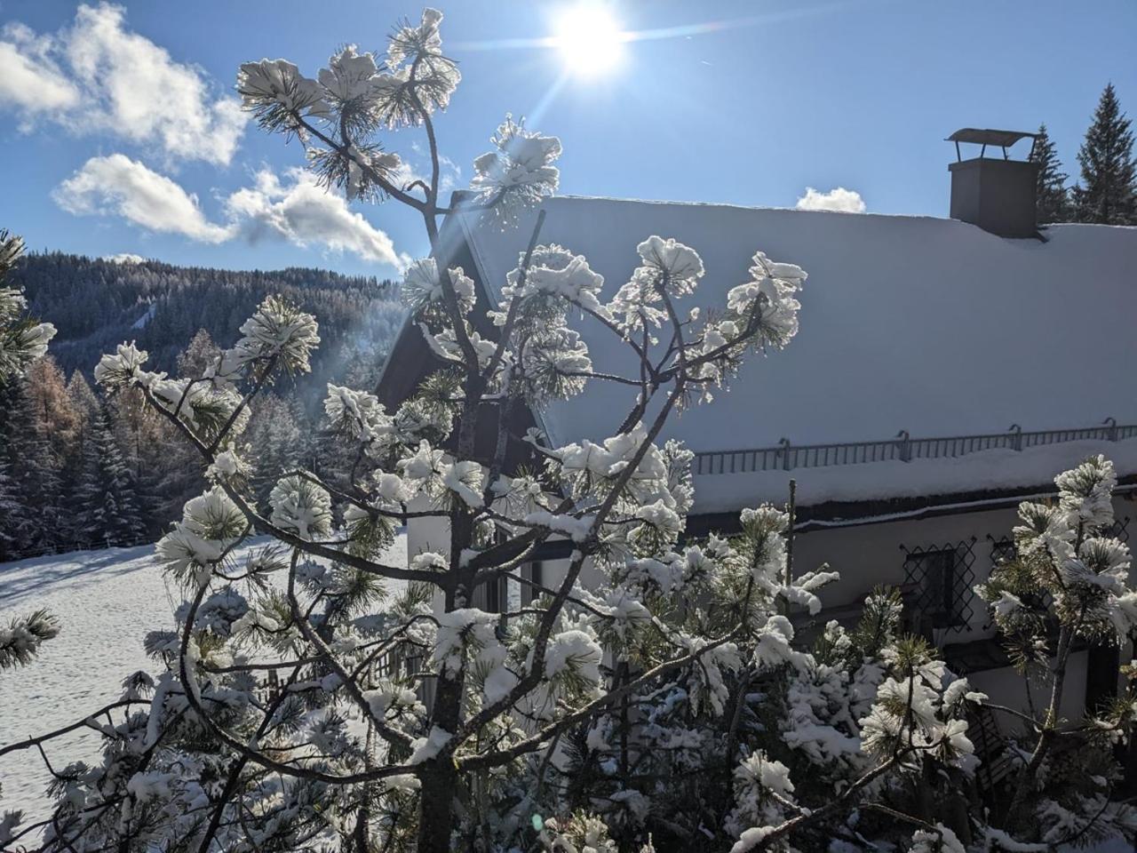 Lalo Alm - Berge Erleben Villa Lachtal Kültér fotó