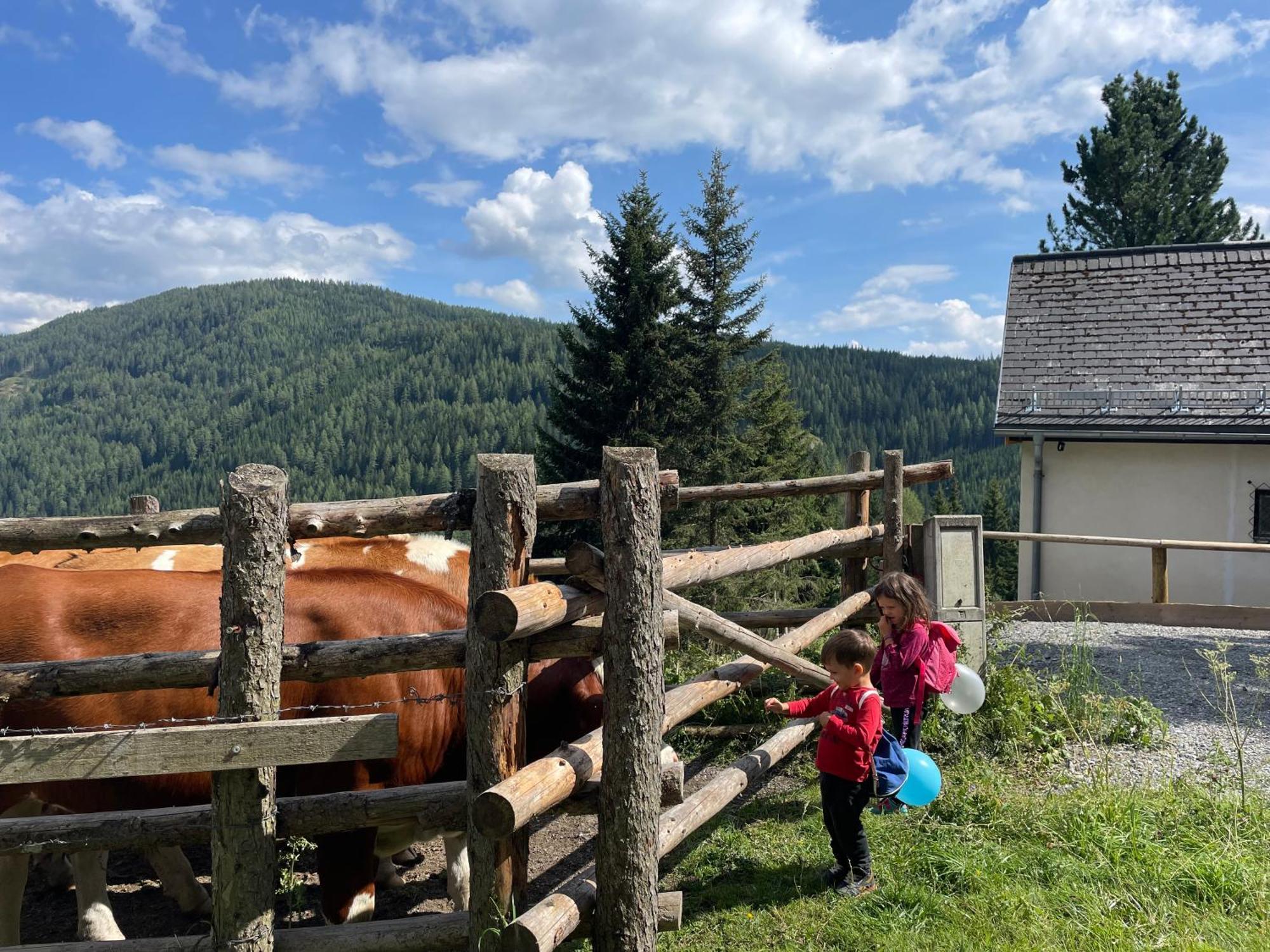 Lalo Alm - Berge Erleben Villa Lachtal Kültér fotó